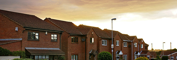 Domestic Pest Control - Peterborough Domestic Pest Control - Peterborough