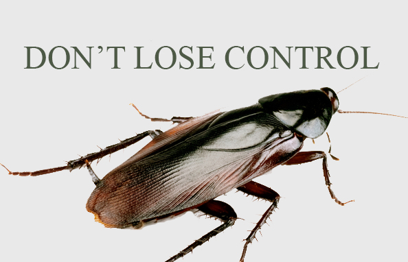 Pest Control - Peterborough